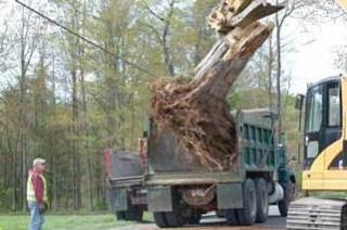 Removing a large stump on Curtis Rd. in preparation for paving.